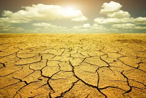 Is unbilled usage bleeding your telecom company dry?